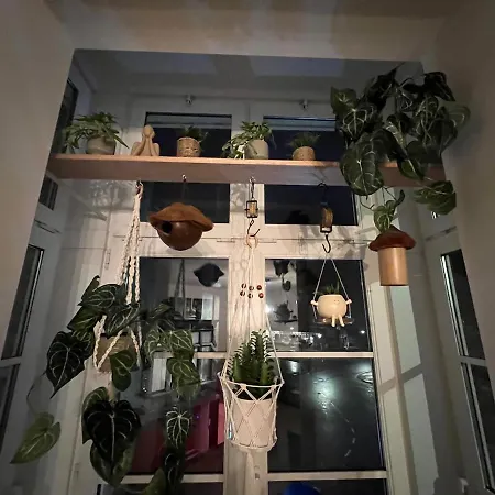 Appartamento Seabreeze, Lichtrijk In Belle Epoque Wijk Blankenberge