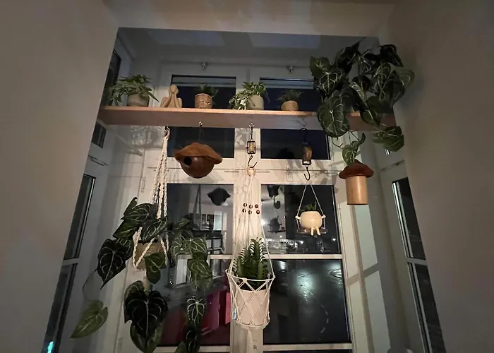 Appartamento Seabreeze, Lichtrijk In Belle Epoque Wijk Blankenberge